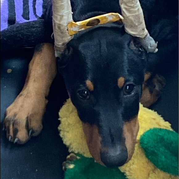 ❤️Nova❤️My Heart❤️ - Picture 14 of 16